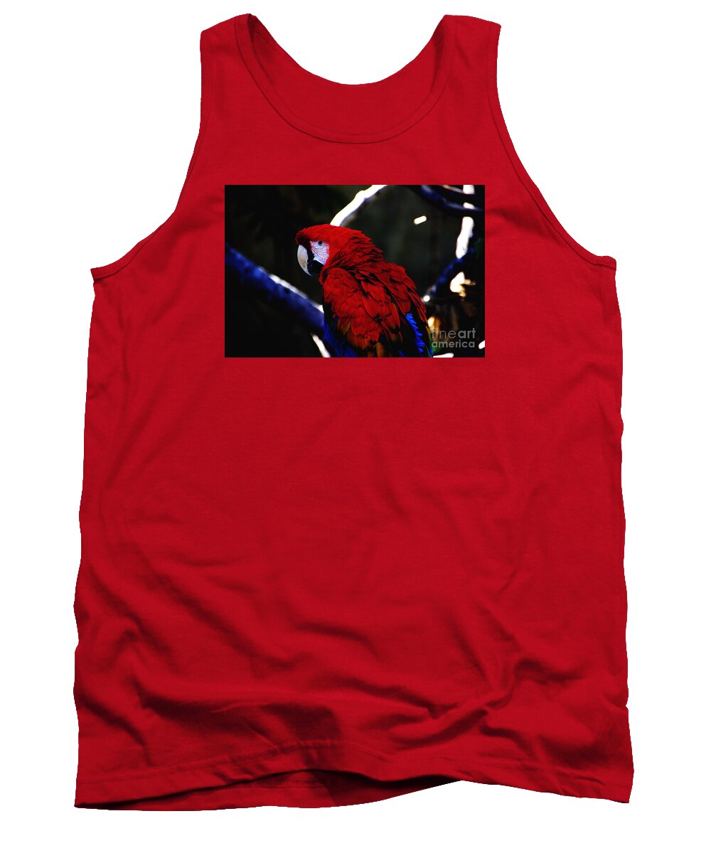  Tank Top featuring the photograph Red Parrot by David Frederick