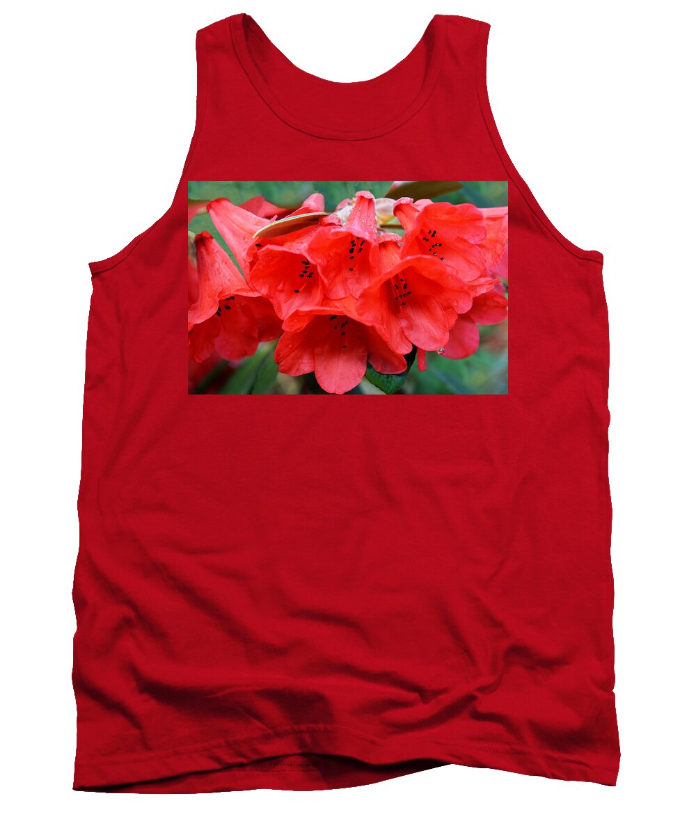 Rhododendron Tank Top featuring the photograph Red Trumpet Rhodies by Ginny Barklow