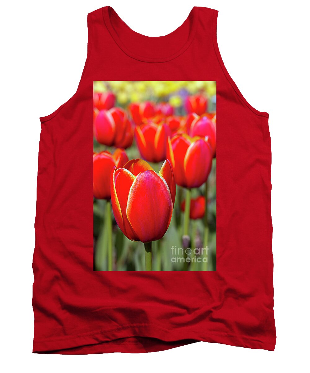 Tulips Tank Top featuring the photograph Red and Yellow Tulips I by Karen Jorstad