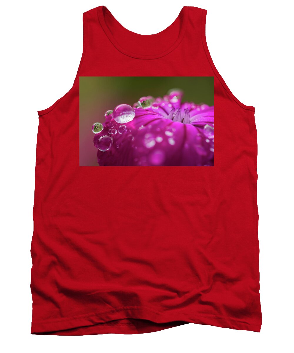 Astoria Tank Top featuring the photograph Rosy Campion by Robert Potts