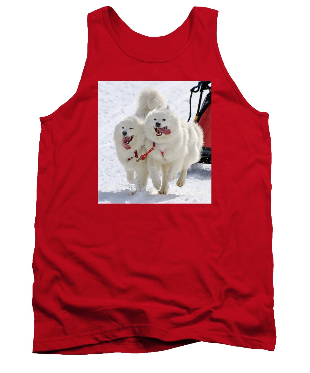 Action Tank Top featuring the photograph Samoyed sled dog team at work by Elenarts - Elena Duvernay photo