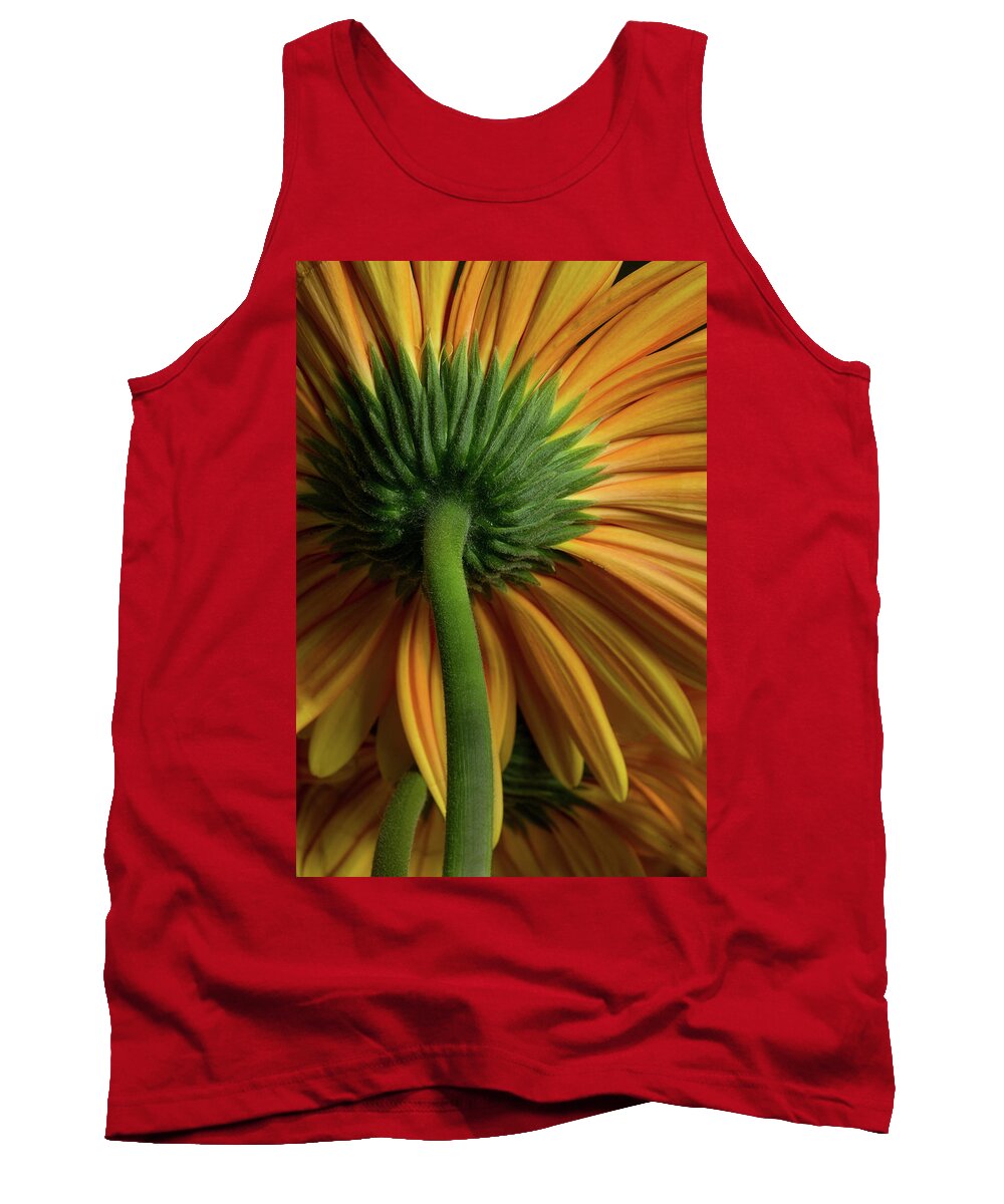 Flower Tank Top featuring the photograph Shy Daisies by Bob Cournoyer