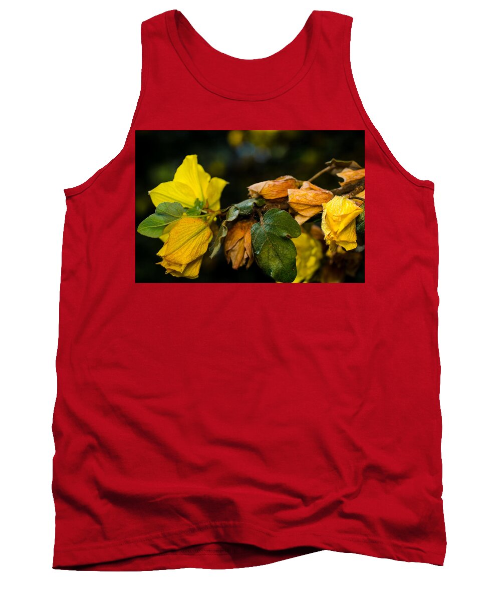 Yellow Tank Top featuring the photograph Spring almost gone by Tom Potter