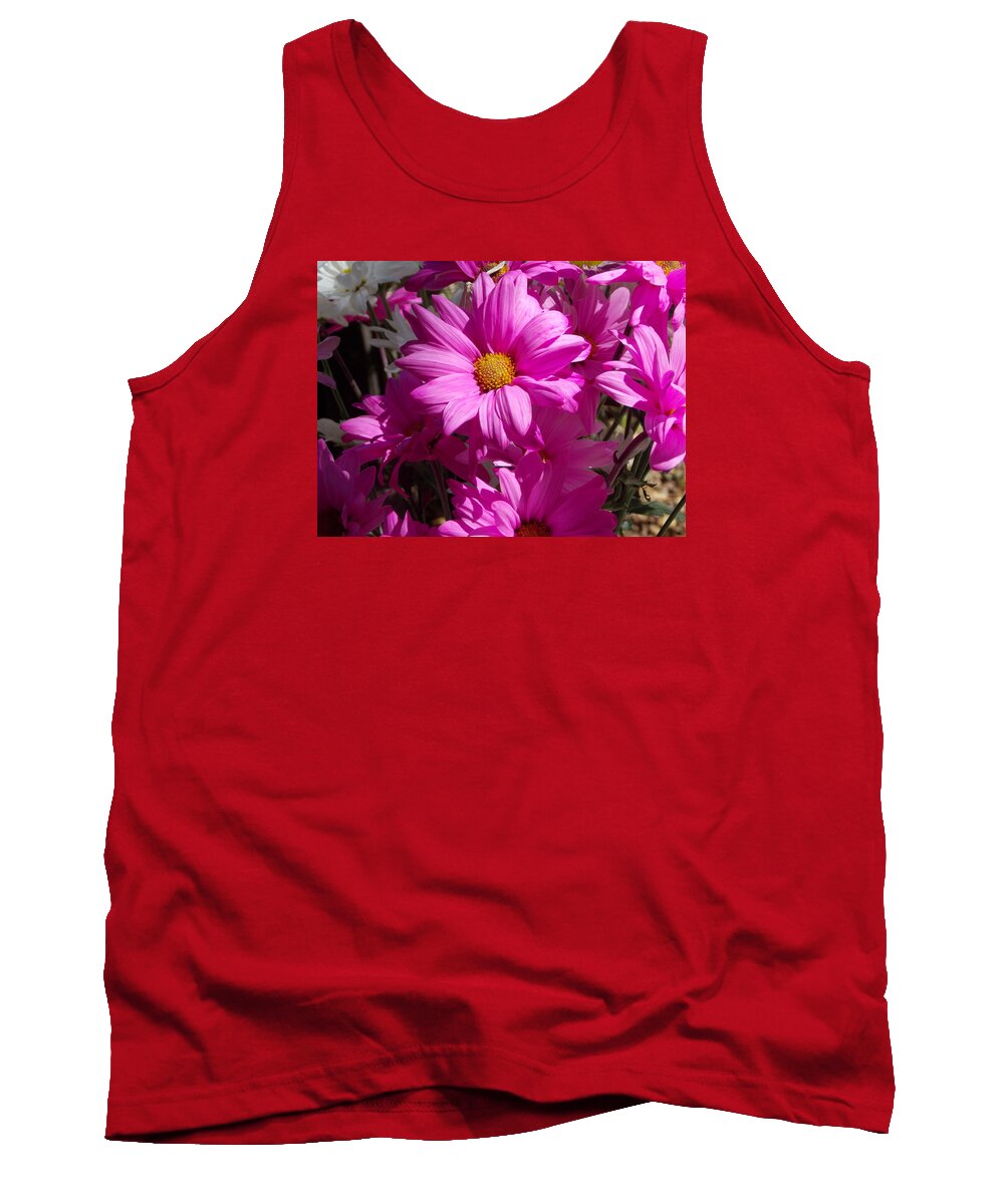 Daisy.flower Tank Top featuring the photograph Spring by Bob Johnson