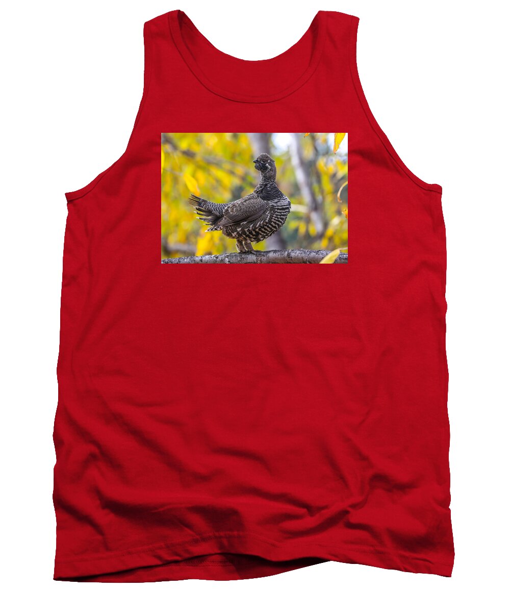 Sam Amato Photography Tank Top featuring the photograph Spruce Grouse on alert by Sam Amato