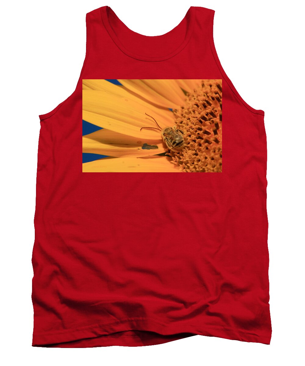 Farm Tank Top featuring the photograph Still Sleeping by Chris Berry