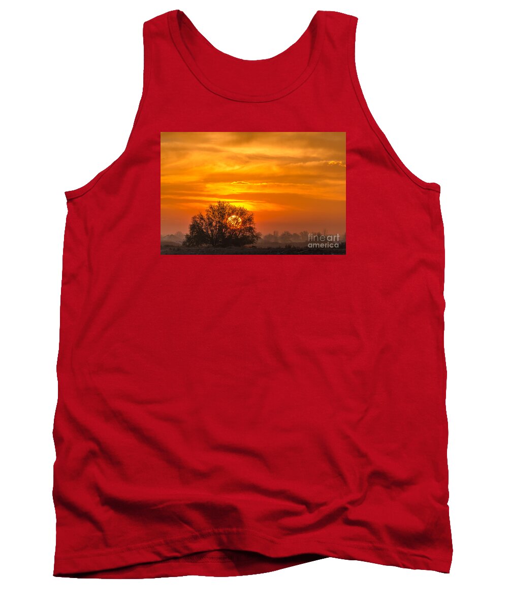 Agriculture Tank Top featuring the photograph Sun Fire by Greg Summers