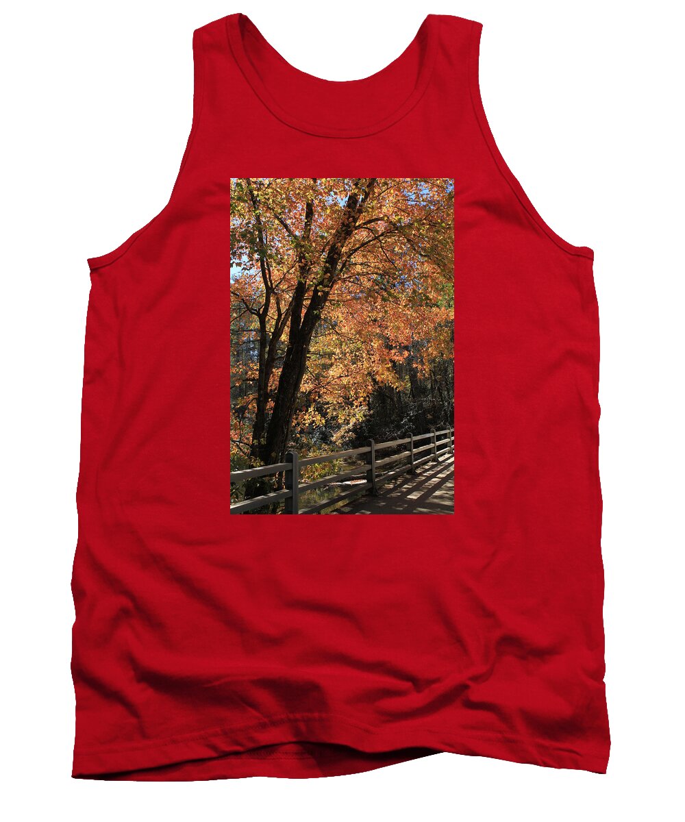 Fall Tree Tank Top featuring the photograph Sun-Kissed Tree by Karen Ruhl