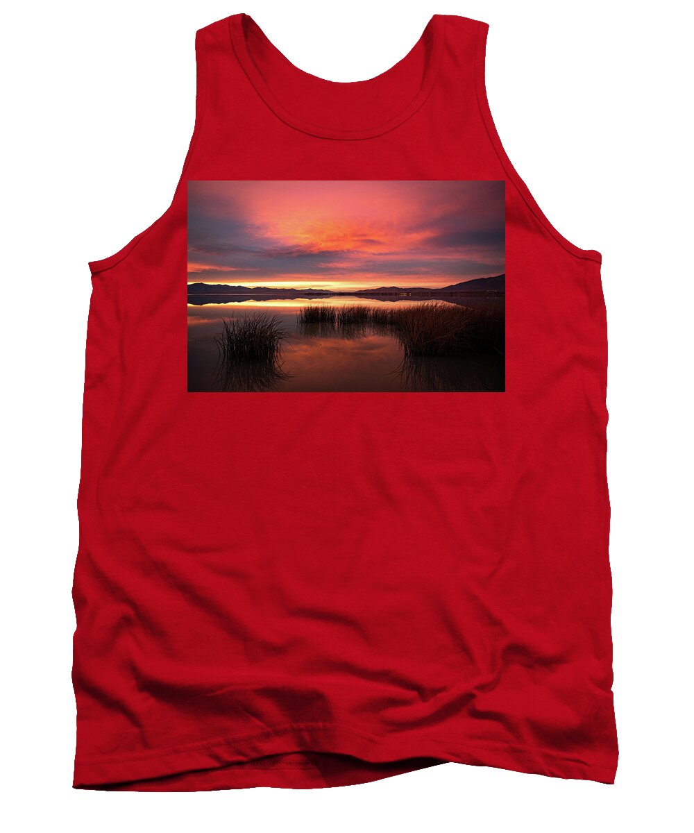 Sunset Tank Top featuring the photograph Sunset Reeds on Utah Lake by Wesley Aston