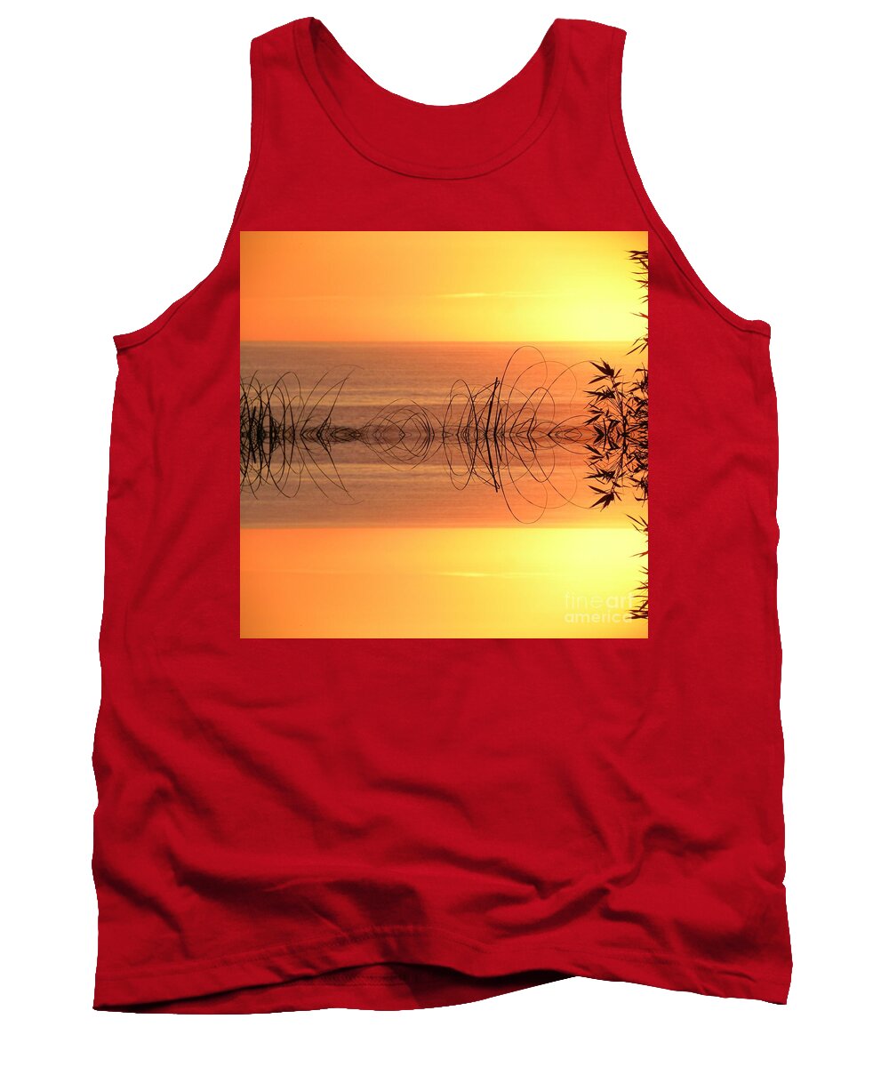 Landscape Tank Top featuring the photograph Sunset Reflection by Sheila Ping