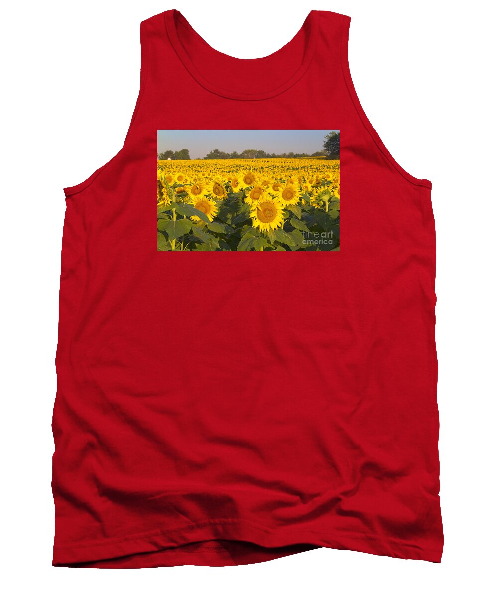 Sunflower Tank Top featuring the photograph Sunshine Flower Field by Crystal Nederman