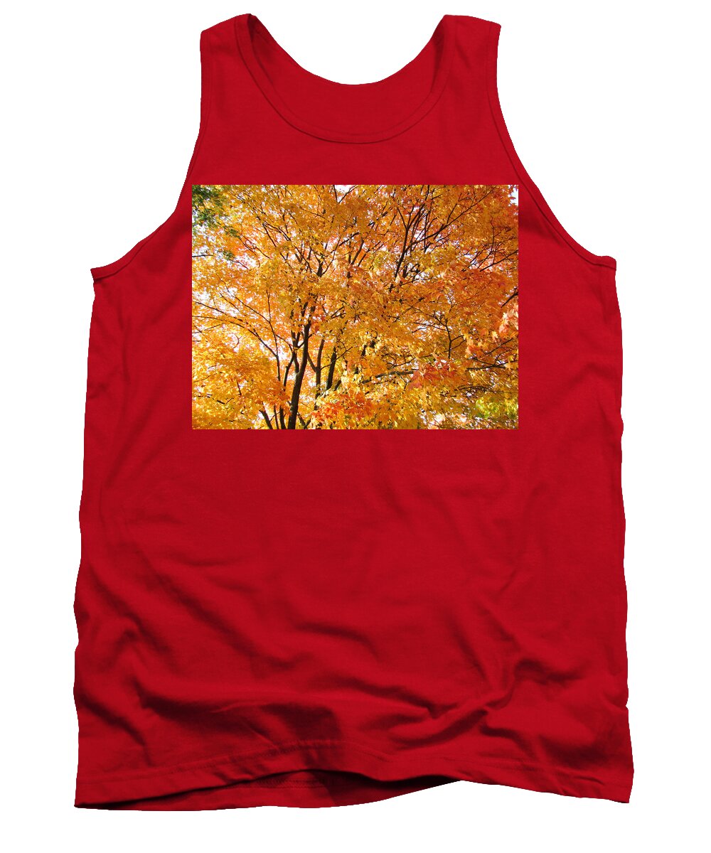 Autumn Tank Top featuring the photograph The Golden Takeover by Robert Knight