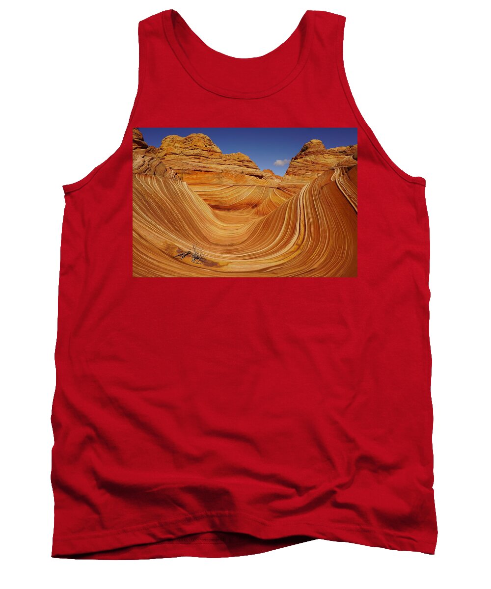 Coyote Tank Top featuring the photograph The Perfect Wave by Tranquil Light Photography