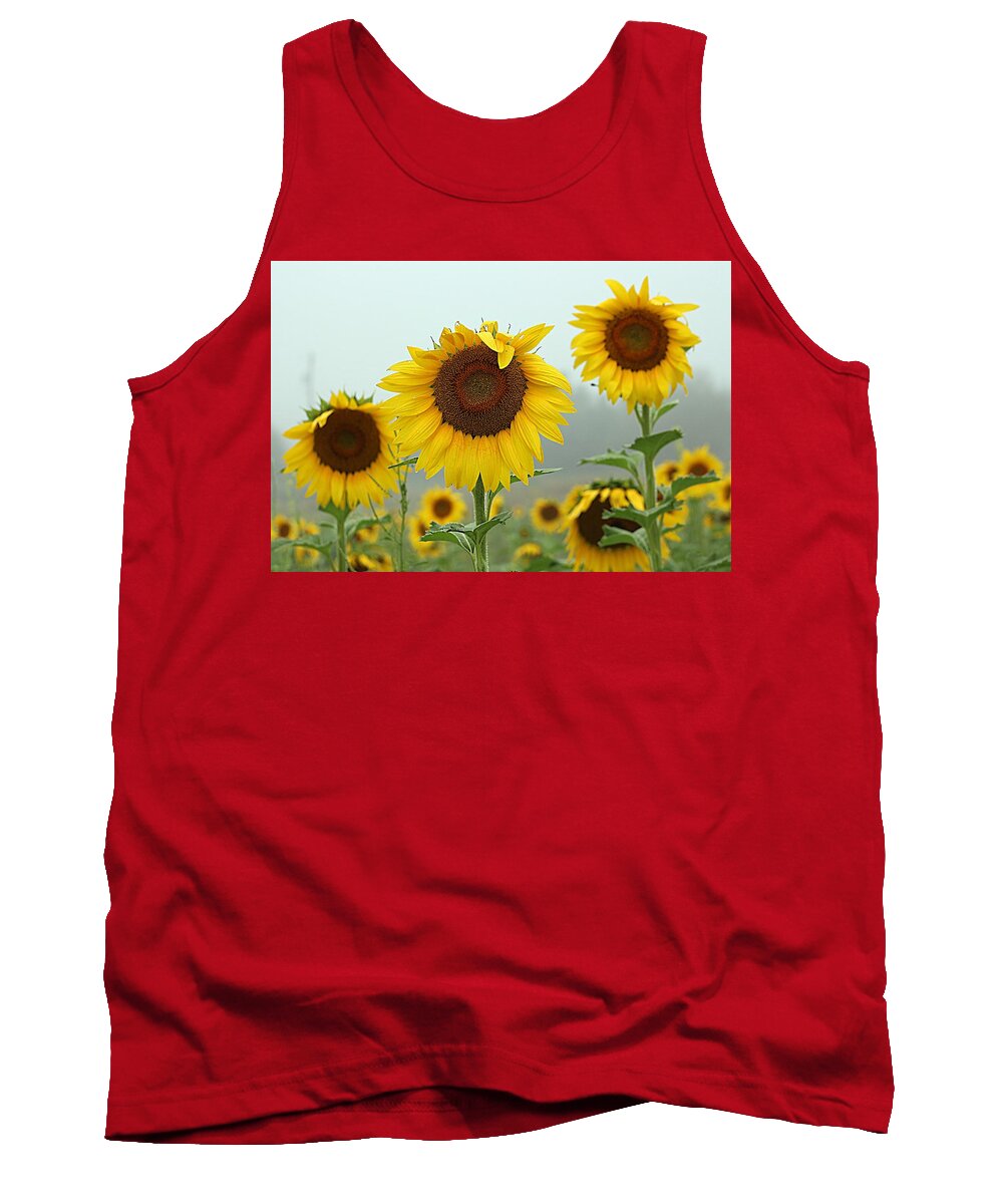 Three Sunflowers Tank Top featuring the photograph Three Amigos in a Field by Karen McKenzie McAdoo