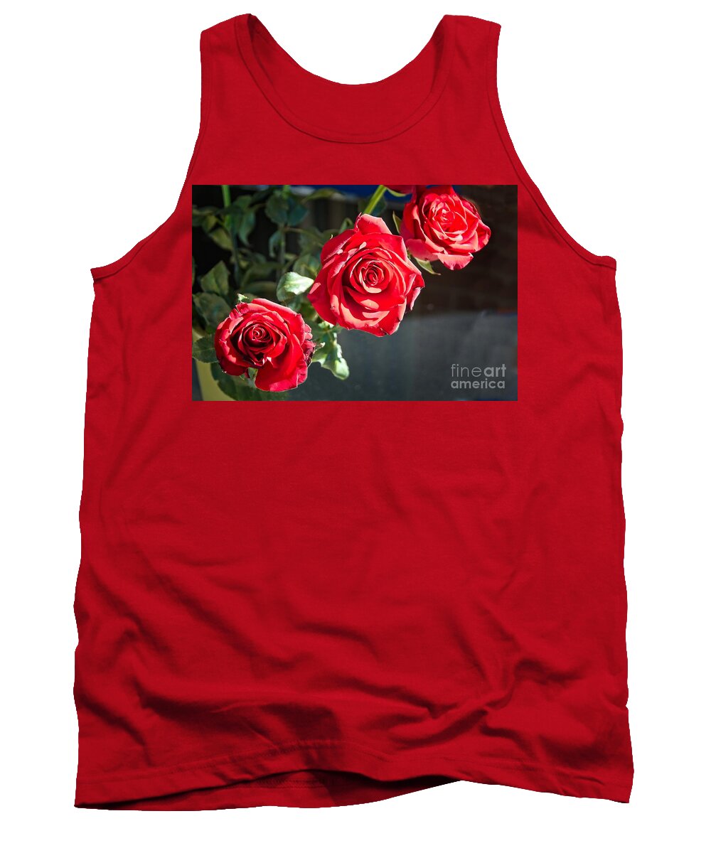 Nature Tank Top featuring the photograph Three red roses in full bloom. by Geoff Childs