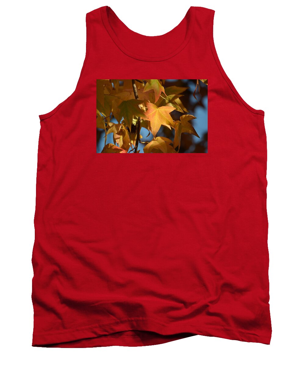  Tank Top featuring the photograph Fall Leaves #1 by Alex King