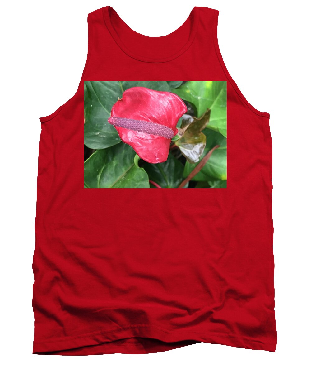 Plants Tank Top featuring the photograph Touch of Red by Jean Wolfrum