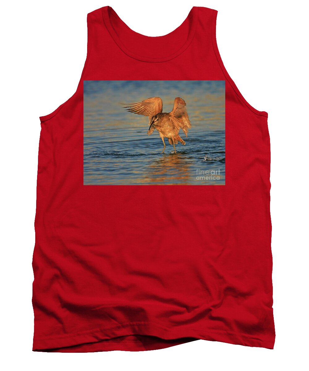 Whimbrel Tank Top featuring the photograph Whimbrel Colors by John F Tsumas
