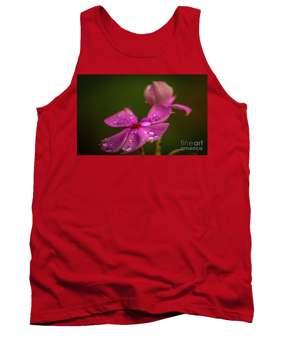 Flower Tank Top featuring the photograph Wildflower Dew Drops by Tom Claud
