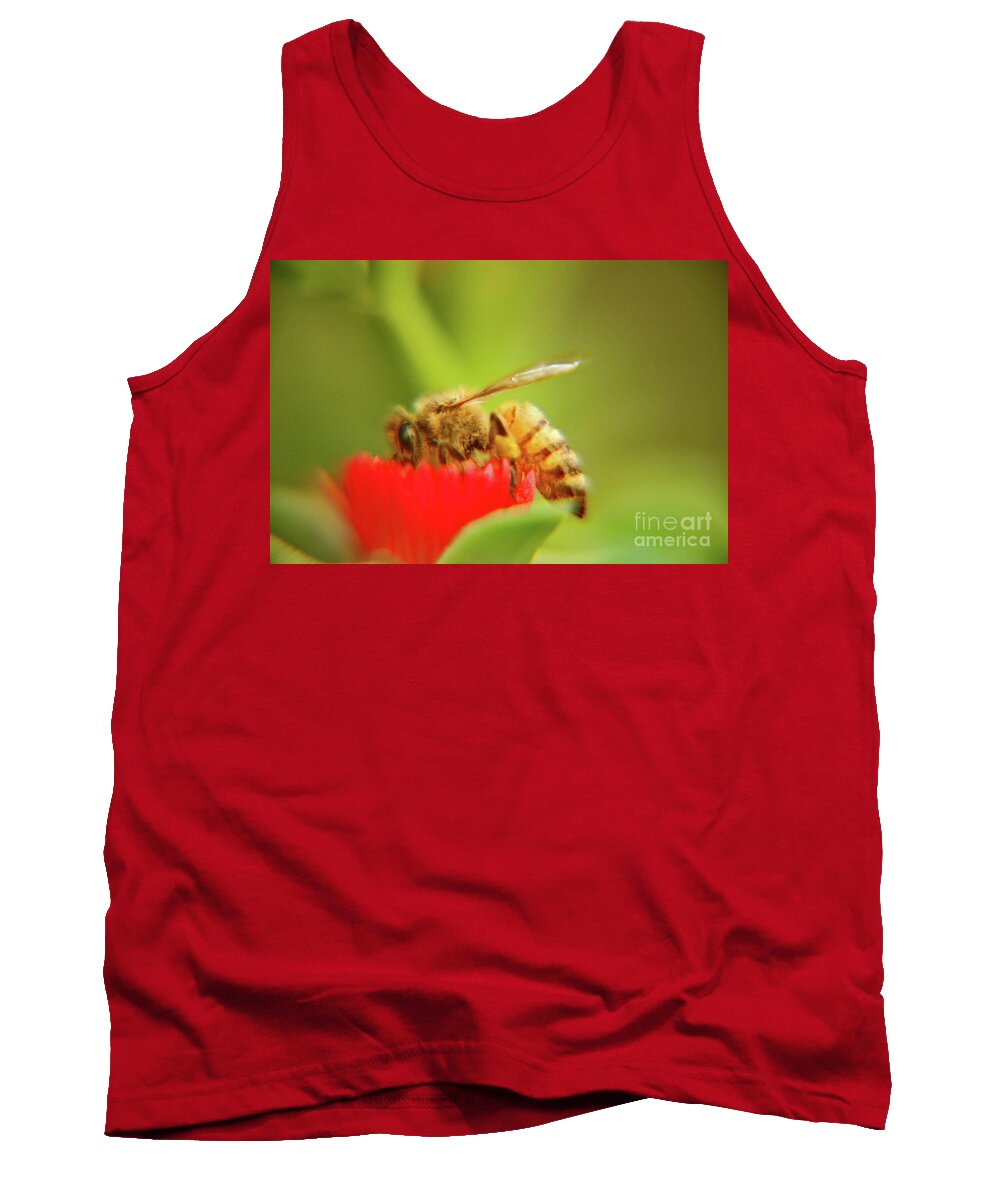 Macro Tank Top featuring the photograph Worker bee by Micah May
