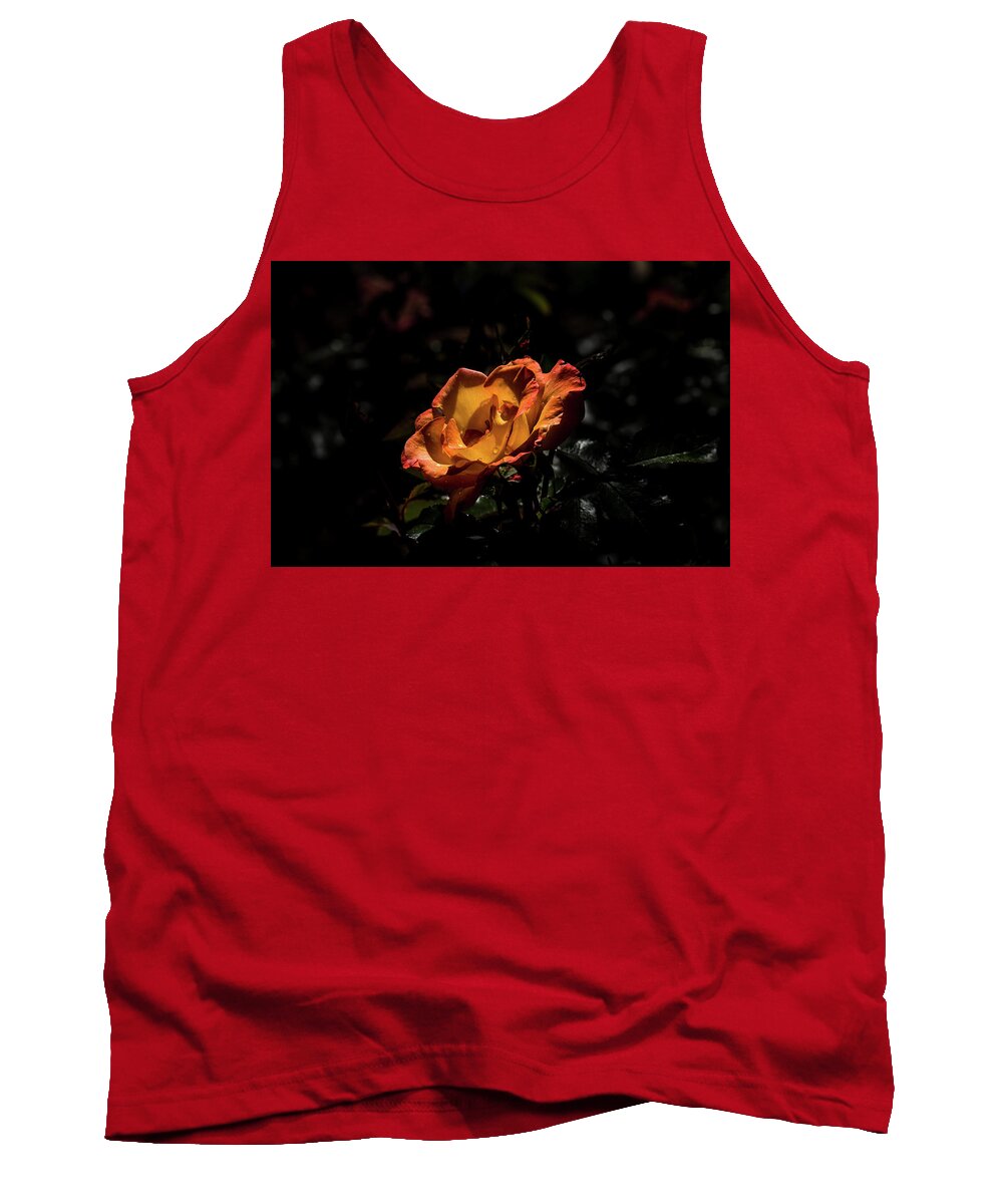 Jay Stockhaus Tank Top featuring the photograph Yellow and Orange by Jay Stockhaus