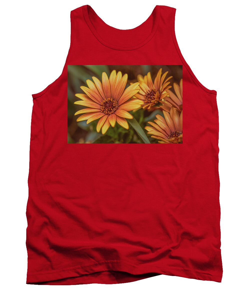 Aster Tank Top featuring the photograph Yellow petals #g3 by Leif Sohlman