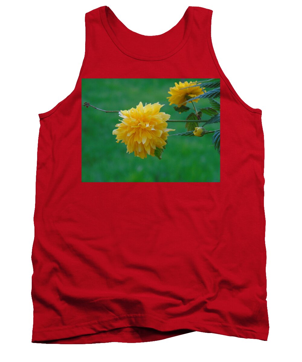 Spring Tank Top featuring the photograph Yellow by Yohana Negusse