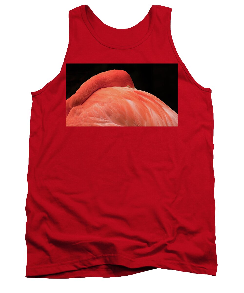 Flamingo Tank Top featuring the photograph You Can Learn A Lot By Watching by Holly Ross