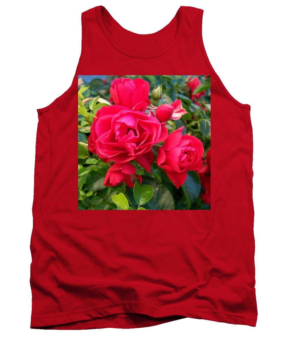 Valentine Tank Top featuring the photograph Rose is a Rose #1 by Sharon Duguay