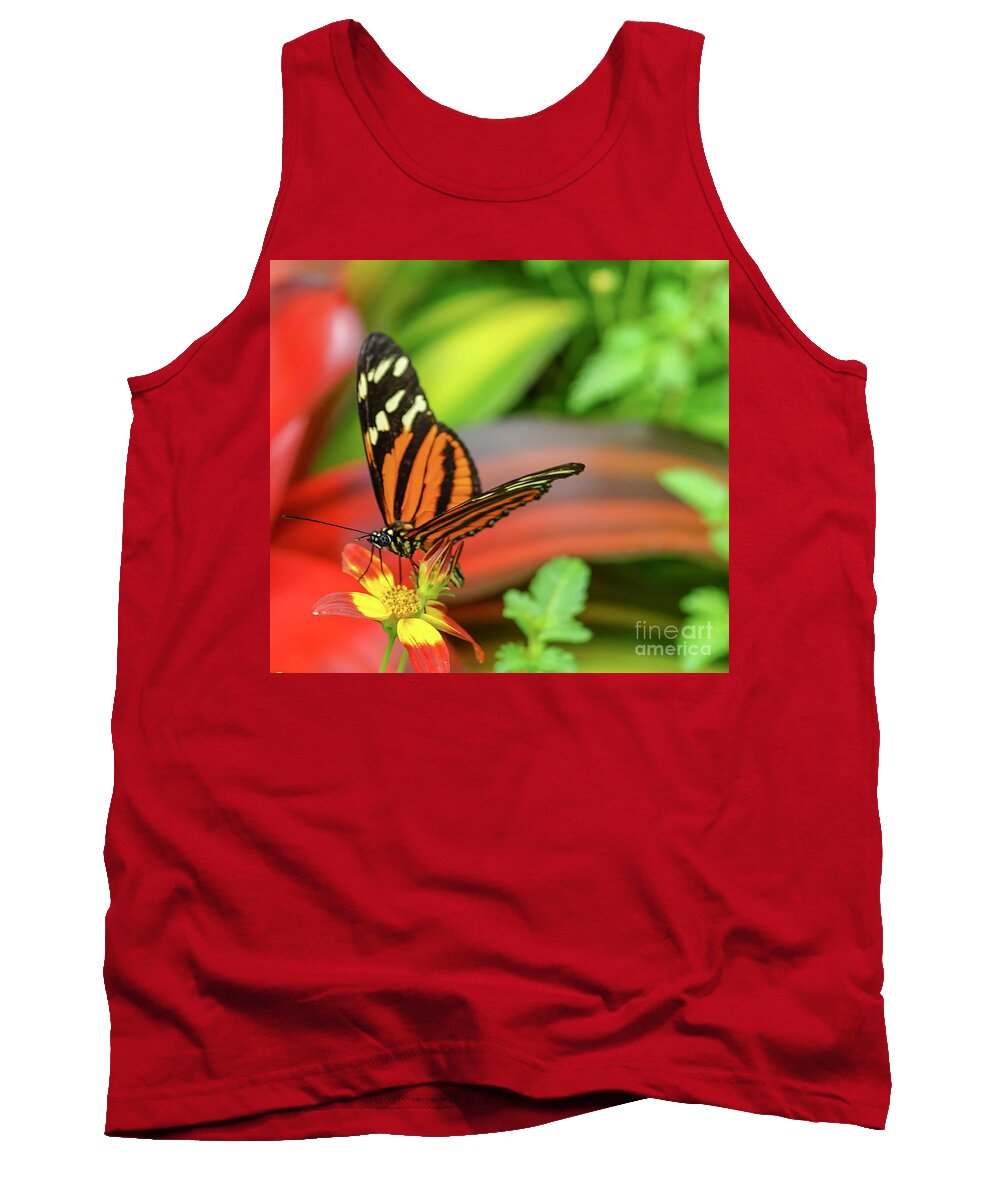 Butterfly Tank Top featuring the photograph Butterfly #3 by Cathy Donohoue