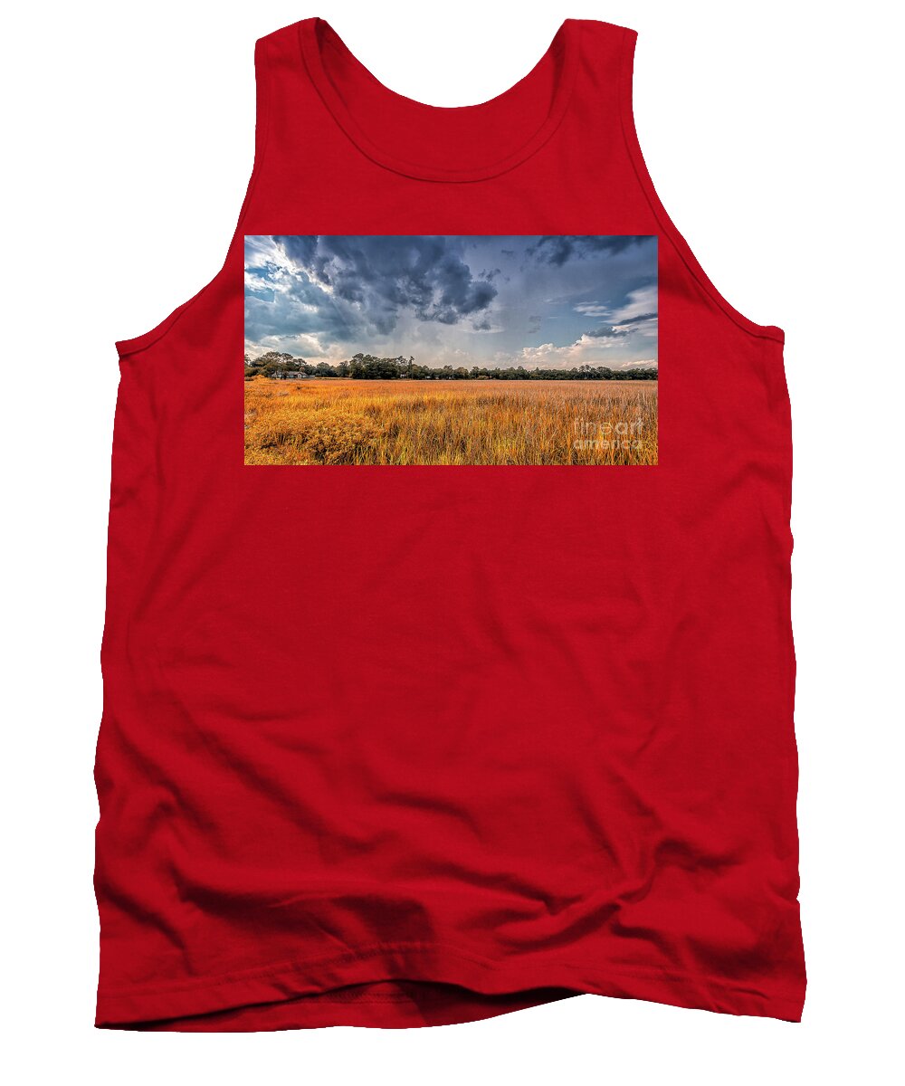 Talahi-island Tank Top featuring the photograph A Storm is Coming by Bernd Laeschke