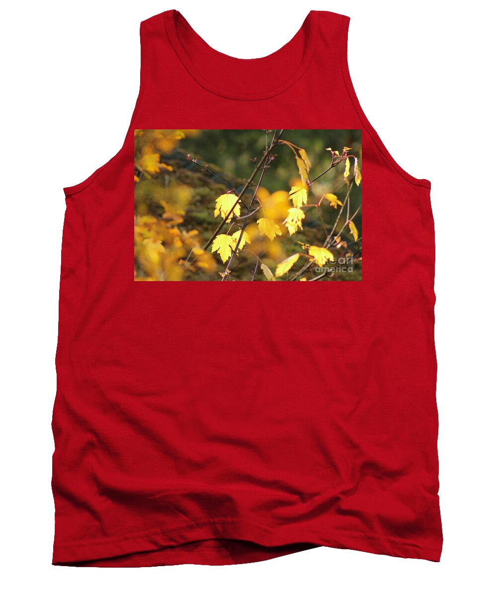 Leaves Tank Top featuring the photograph Autumn Leaves by Leone Lund