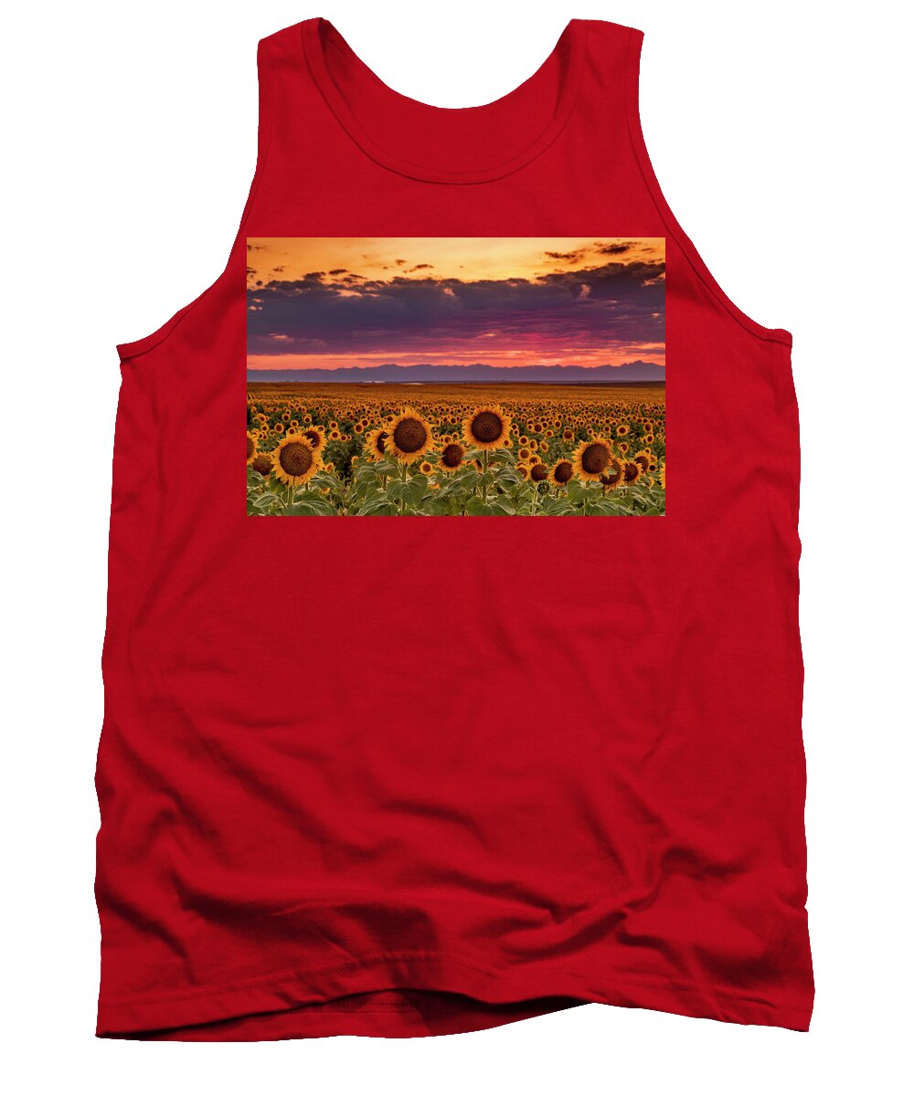 Colorado Tank Top featuring the photograph Beautiful Colorado Sunset Over Sunflower Fields by Teri Virbickis