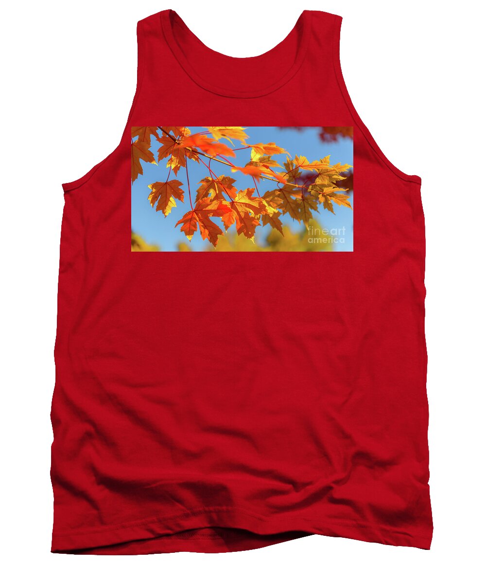Love Tank Top featuring the photograph Fall Foliage by Dheeraj Mutha
