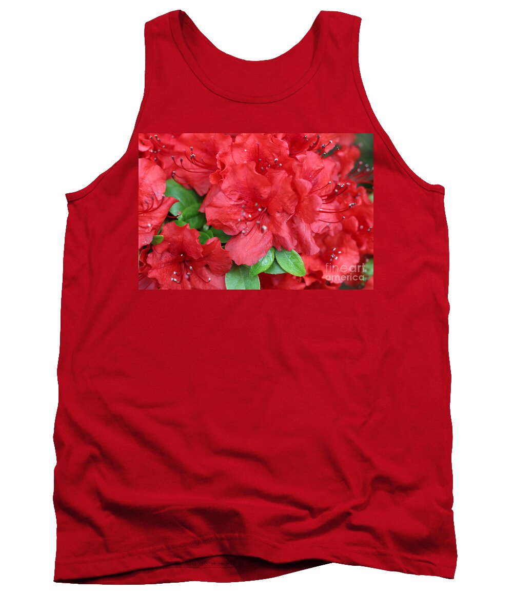 Flowers Blooming Tank Top featuring the photograph Flowers Blooming by Barbra Telfer