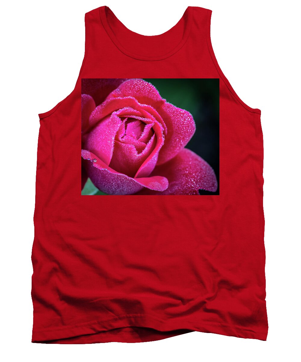 Rose Tank Top featuring the photograph Morning Rose by Brad Bellisle