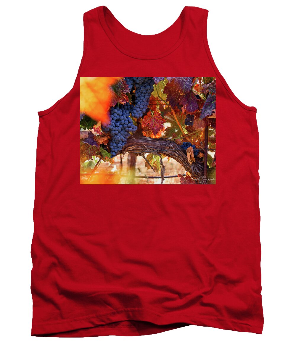 Vine Tank Top featuring the photograph On the Vine by Steph Gabler