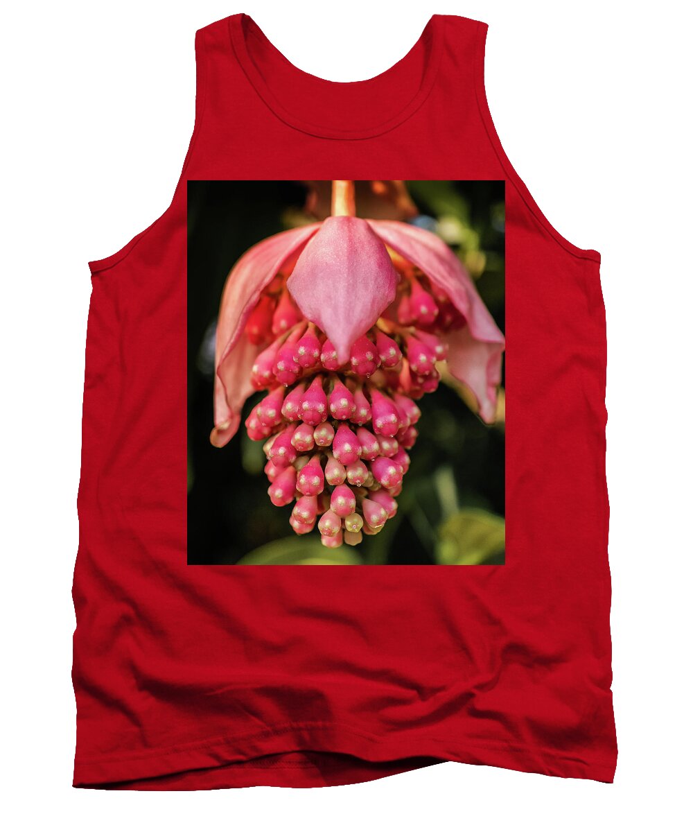 Outdoors Tank Top featuring the photograph Pomegranate flower by Silvia Marcoschamer