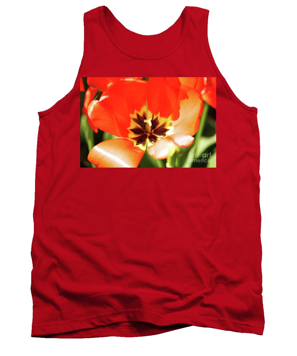 Red Tank Top featuring the photograph Red Emporer Tulip by Rich Collins