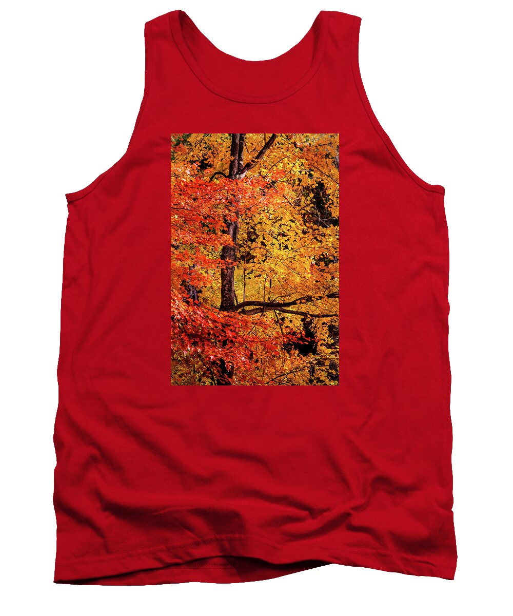 Fall Tank Top featuring the photograph The Colors of Fall by Don Johnson