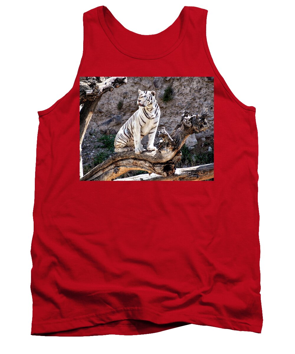 White Tiger Tank Top featuring the photograph White Tiger by Bearj B Photo Art
