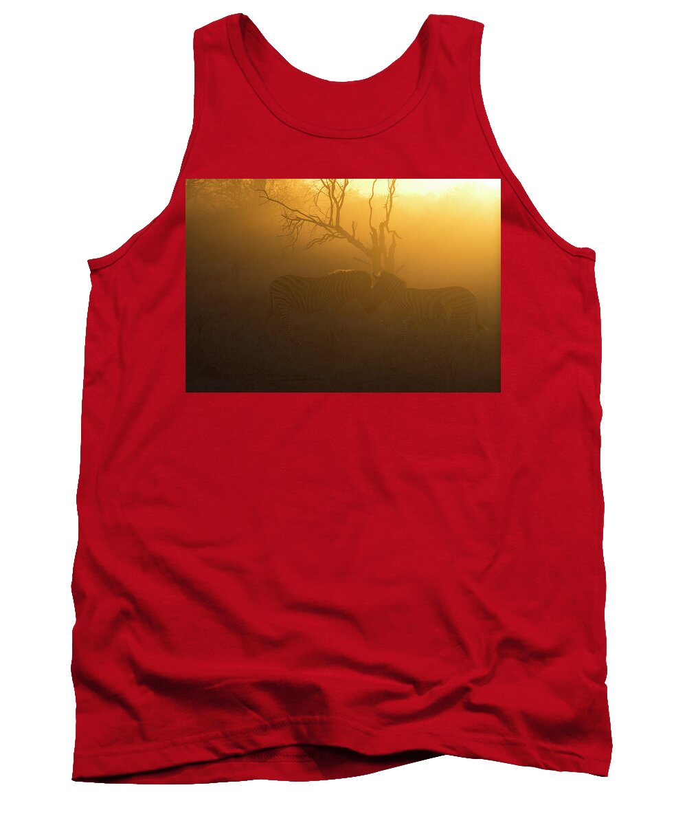 Africa Tank Top featuring the photograph Zebras in the Morning Mist by Patrick Nowotny