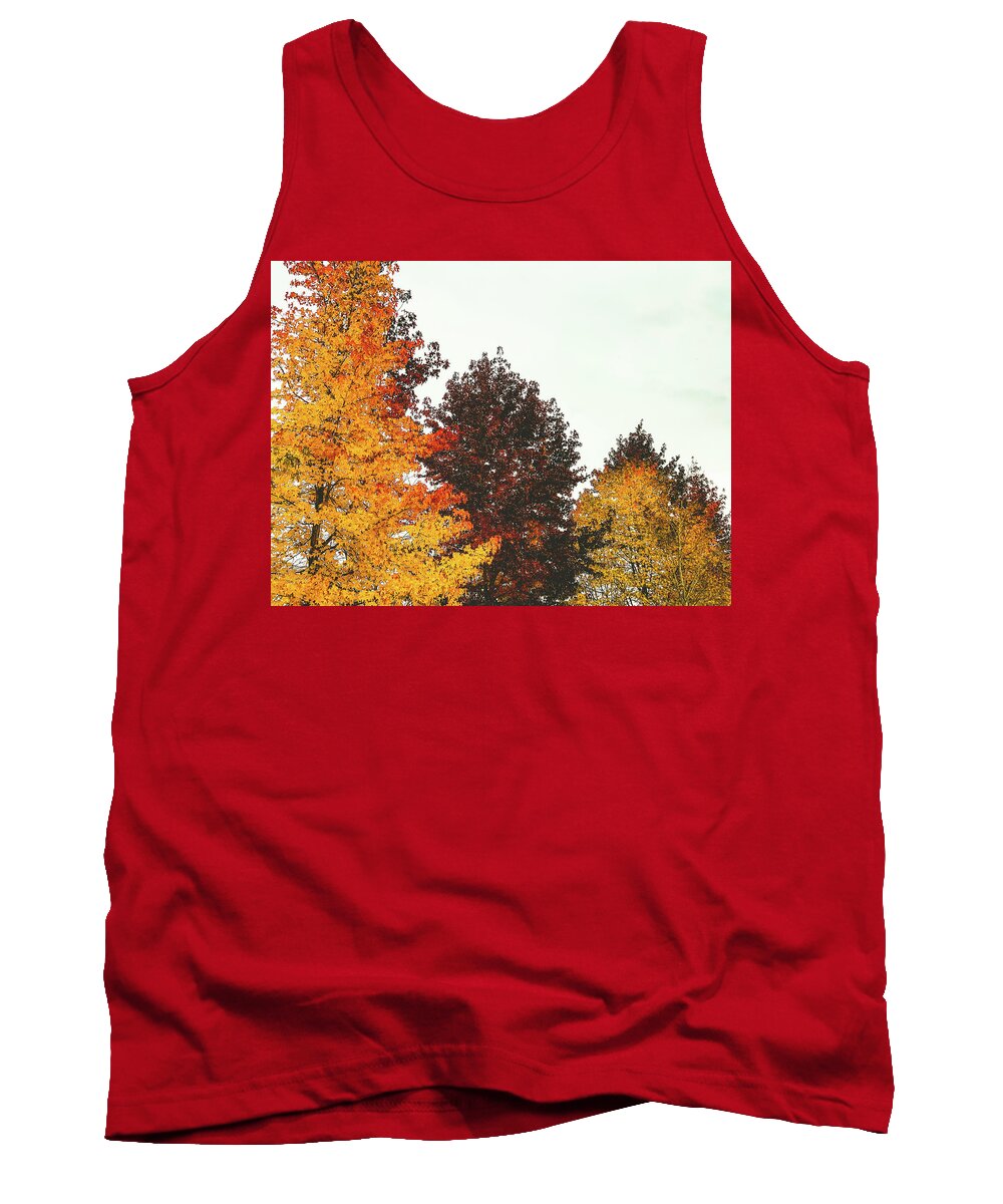Trees Tank Top featuring the photograph Fall #1 by Anamar Pictures