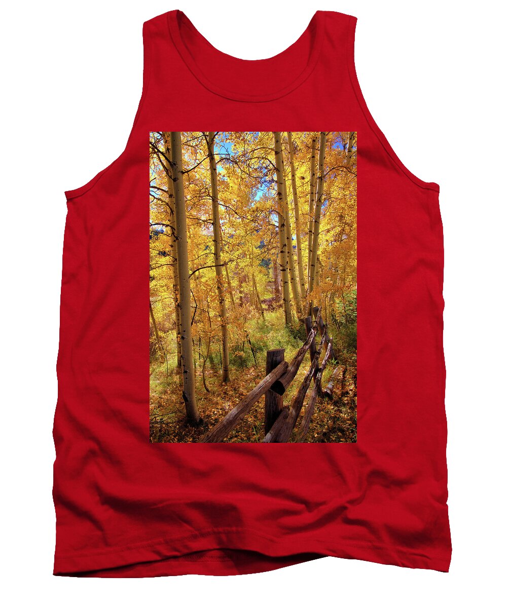 Colorado Tank Top featuring the photograph Fall colors #1 by Bob Falcone