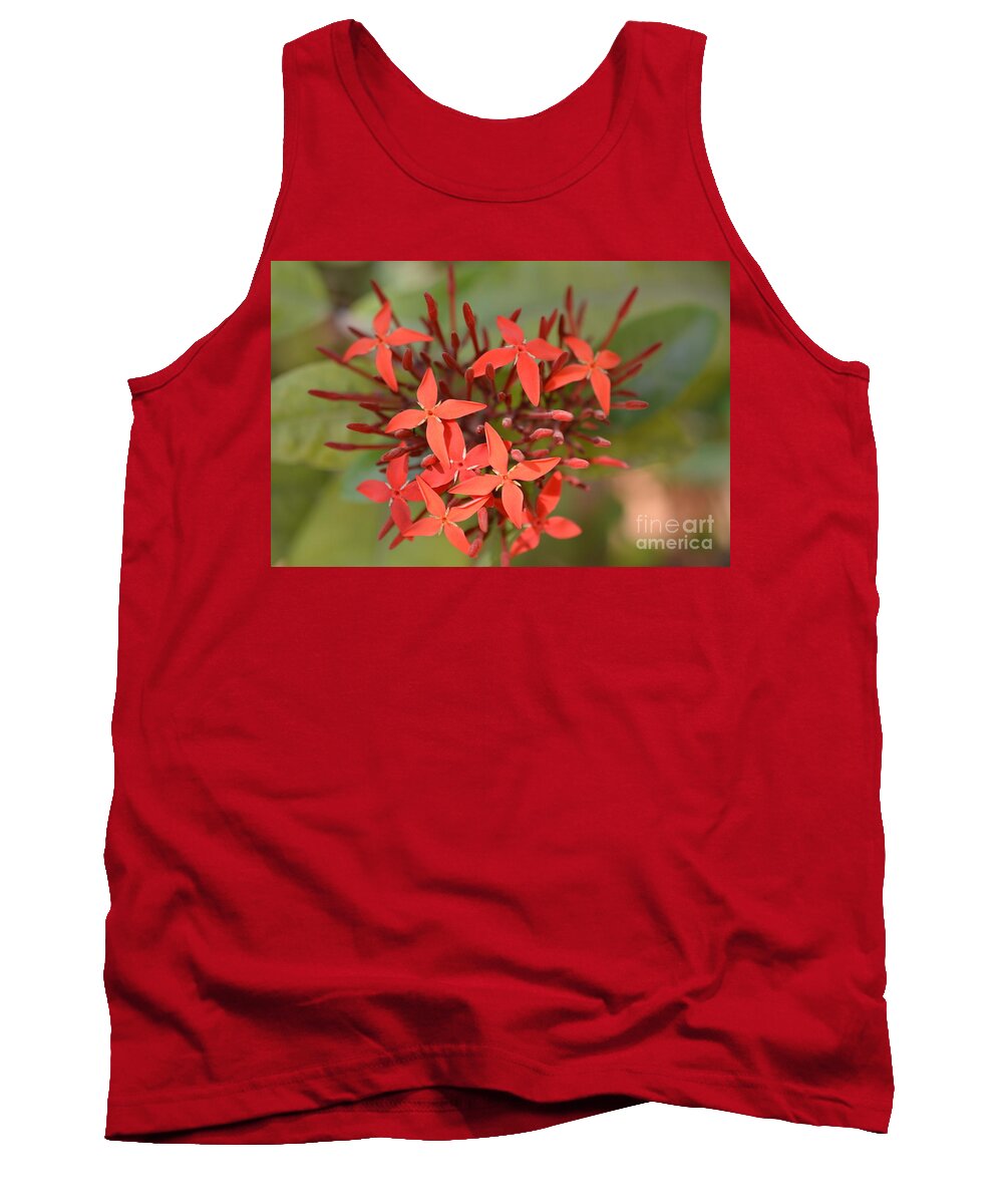Tropical Plant Tank Top featuring the photograph Flame of the Woods #1 by Mini Arora