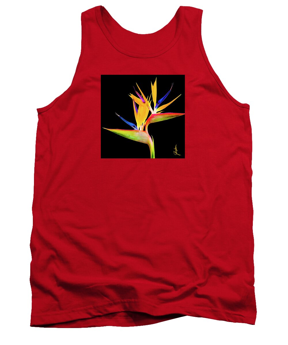 Bird Of Paradise Tank Top featuring the painting Aida Bird Black Square by Jackie Medow-Jacobson