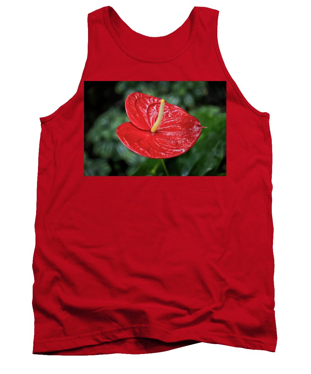 Red Tank Top featuring the photograph Anthurium Red Flamingo Flower by Artur Bogacki