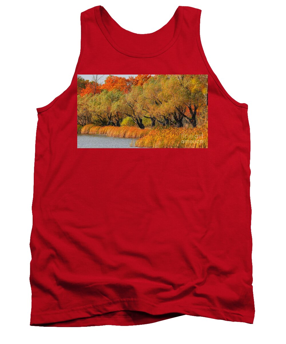 Leaves Tank Top featuring the photograph Beauty of WNY Trees by fototaker Tony