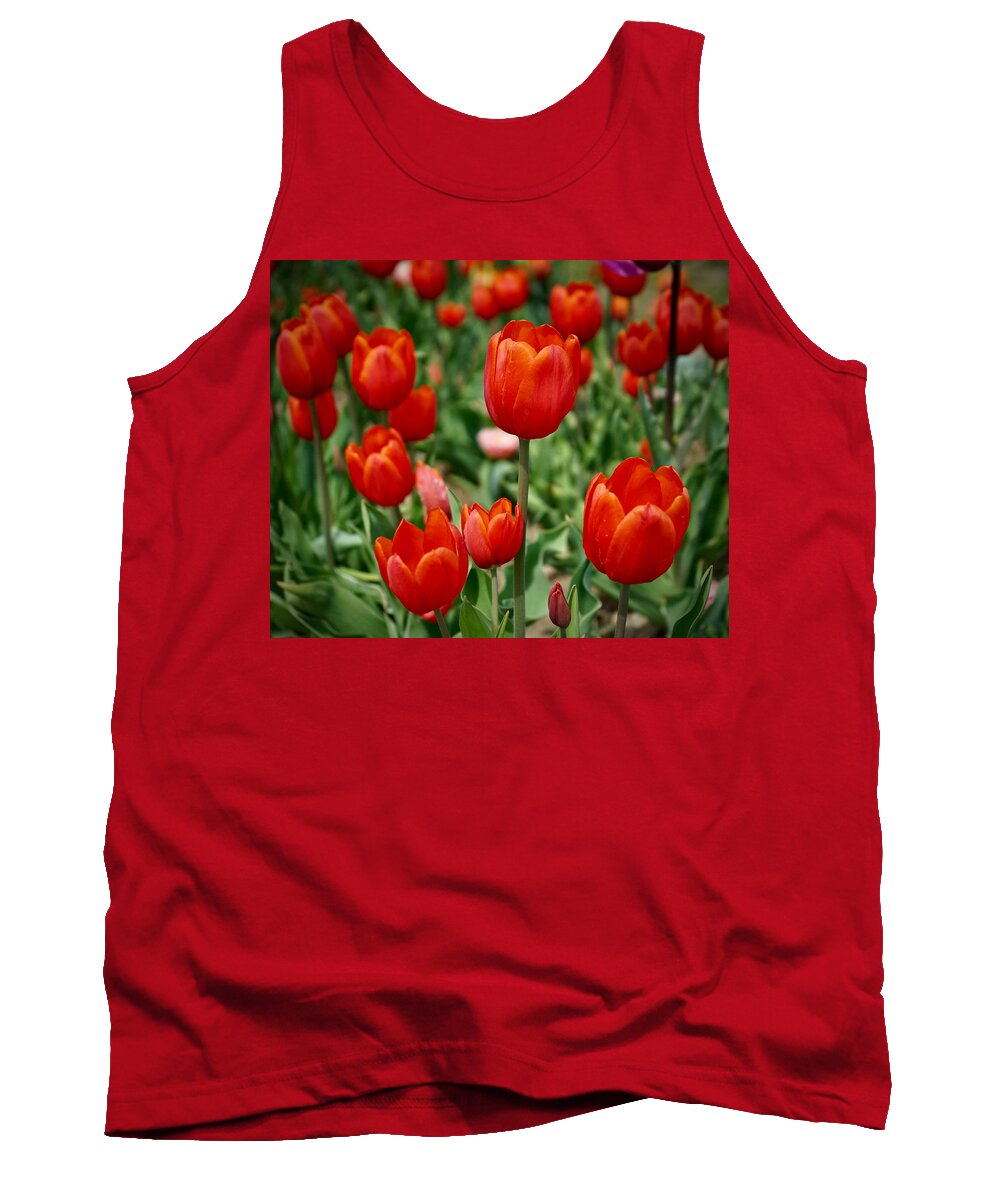 Tulips Tank Top featuring the photograph Blushing Tulips by Mark Truman