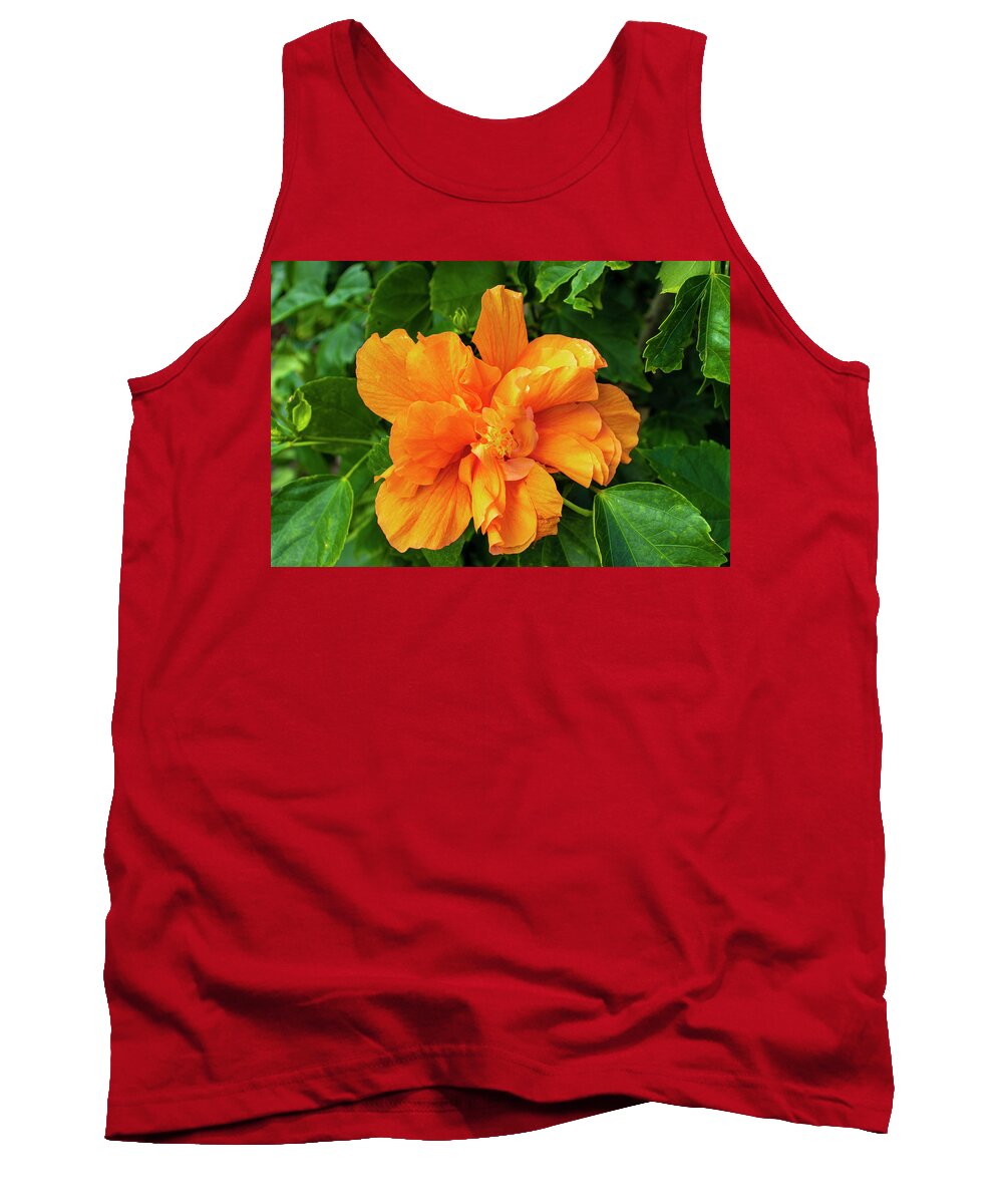 Hibiscus Tank Top featuring the photograph Double Orange Hibiscus Flower by Blair Damson